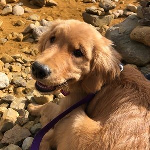 Meet your Posher, Cara